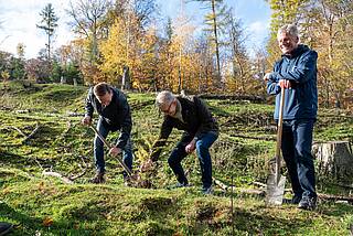 Blumenbecker Management Directors planted trees