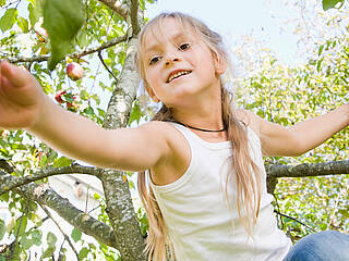 Kind klettert in einem Apfelbaum