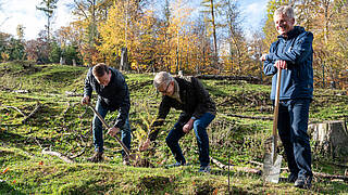 Blumenbecker Management Directors planted trees