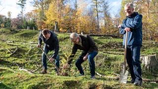 Blumenbecker Geschäftsführung pflanzt Bäume