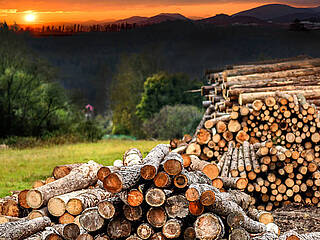 Schaltanlagenbau für eine Holzextraktionsanlage