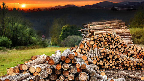 Schaltanlagenbau für eine Holzextraktionsanlage