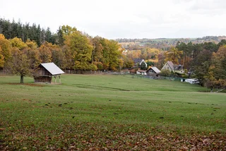 Blick auf den Wildpark Völlinghausen
