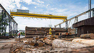 Crane manufacturing