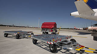 Container-Dolly-CTA-2.jpg